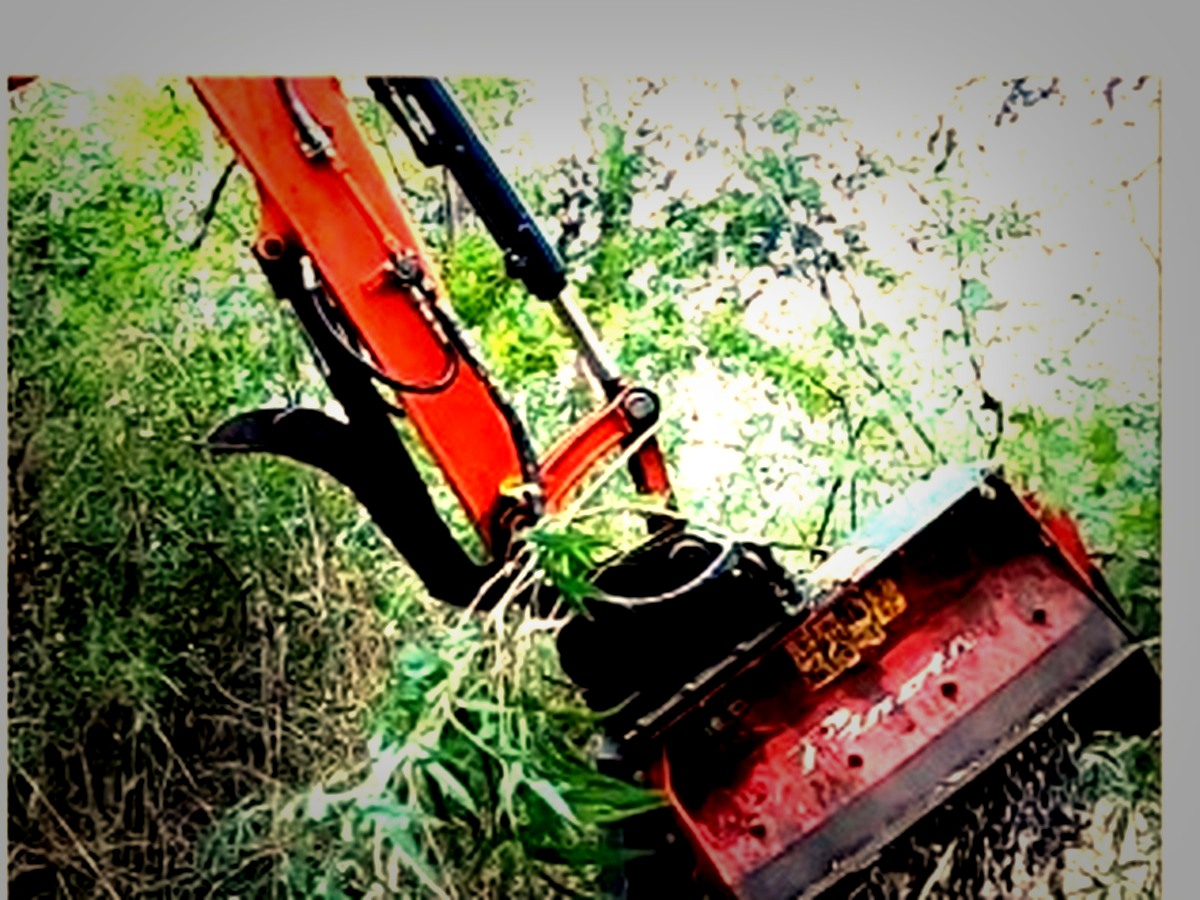 Forestry mulcher attachment chewing through dense brush